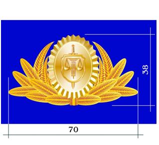 Ներմուծեք նկարագրությունը_520